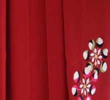 emma×紅一点麻の葉に椿柄の卒業式袴フルセット(茶系)|卒業袴(普通サイズ)9枚目