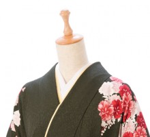NICOLE|袴レンタル|158〜162cm|卒業式袴フルセット(グリーン系)|卒業袴(普通サイズ)