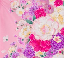 レンタル袴|可愛い|ピンク|八重桜柄の卒業式袴フルセット(ピンク系)|卒業袴(普通サイズ)