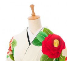 振袖袴|158〜163㎝|玉城ティナ|卒業式袴フルセット(白系)|卒業袴(普通サイズ)
