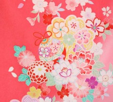 7-856_U05	【卒園式袴レンタル】	陽気な天使　ブランド　きれいめピンクのグラデ☆