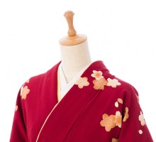 訪問着に袴のセット|153～158㎝|正絹|卒業式袴フルセット(赤系)|卒業袴(普通サイズ)
