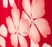 レンタル袴 卒業式 赤着物 小花柄の卒業式袴フルセット(赤系)|卒業袴(普通サイズ)