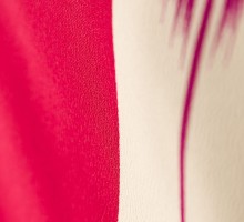 レンタル袴 矢がすり柄の卒業式袴フルセット(赤系)/白系)|卒業袴(普通サイズ)