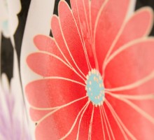 縞に桜菊柄の卒業式袴フルセット(黒/白系)|卒業袴(普通サイズ)