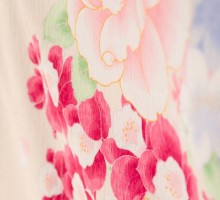 卒業式　薔薇八重桜柄の卒業式袴フルセット(白系)(ピンク系)|卒業袴(普通サイズ)
