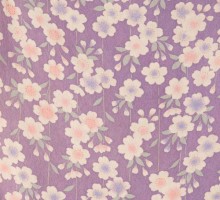 正絹着物　紫地　しだれ桜柄の卒業式袴フルセット(パープル系)|卒業袴(普通サイズ)