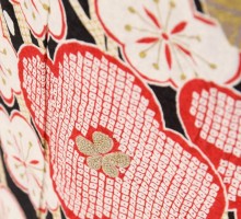 白地　笹と赤梅柄の振袖フルセット(白系)|普通サイズ【1月】