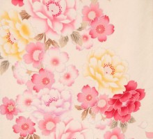白地にピンクぼかし　八重桜柄の振袖フルセット(白　ピンク系)|普通サイズ【1月】