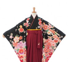 卒園袴|花うさぎ|115〜125cm|卒園式袴レンタルフルセット(黒系)|女の子(卒園式袴)