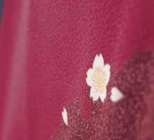 先生|卒業式|雪輪柄の卒業式袴フルセット(ピンク系)(パープル系)|卒業袴(普通サイズ)