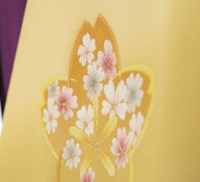 大桜と枝桜柄の卒業式袴フルセット(黄色系)|卒業袴(普通サイズ)