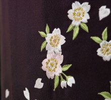 レンタル袴|紫着物|八重桜柄の卒業式袴フルセット(パープル系)|卒業袴(普通サイズ)