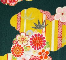  卒園式袴[式部浪漫]　鮮やかな竹緑のしなやかな正絹地