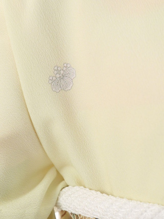 色留袖(夏用)フルセット【単衣】【6月】【9月】|Mサイズ|155〜164cm|7〜13号|化繊