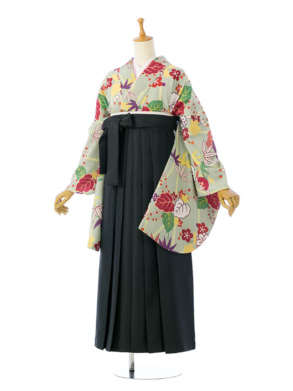 卒業袴|緑系|橘葵笹|8R1242|対応身長:158-163cm|ｻｲｽﾞ:17-23号｜全国