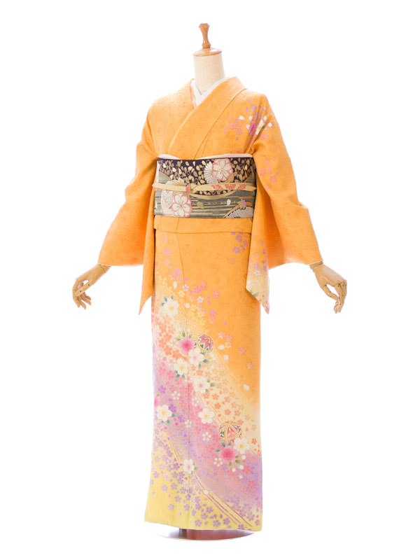 訪問着|対応身長:153~163cm|ｻｲｽﾞ:7~13号|#HADN004｜全国宅配可の