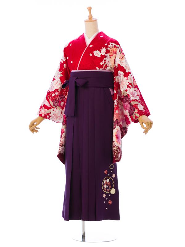 クラシック 卒業袴|赤系|桜|E-R008|対応身長:153-158cm|ｻｲｽﾞ:7-13号｜全国 クラフト・布製品