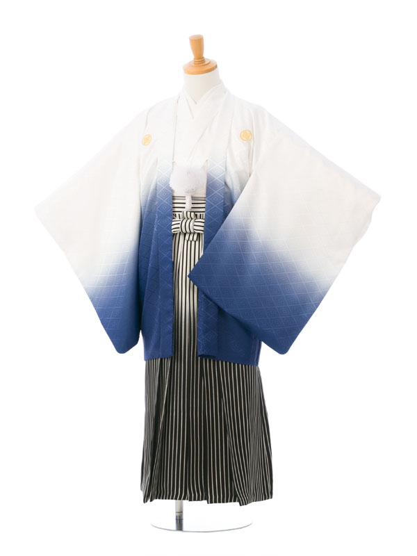 定番の中古商品 ハーフ成人式 ジュニアお着物 正絹 乗り継い ブルー 着物・浴衣・和小物