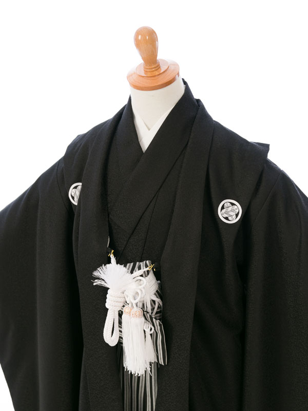 七五三　男の子　五歳 jiari-taiko_f.jpg