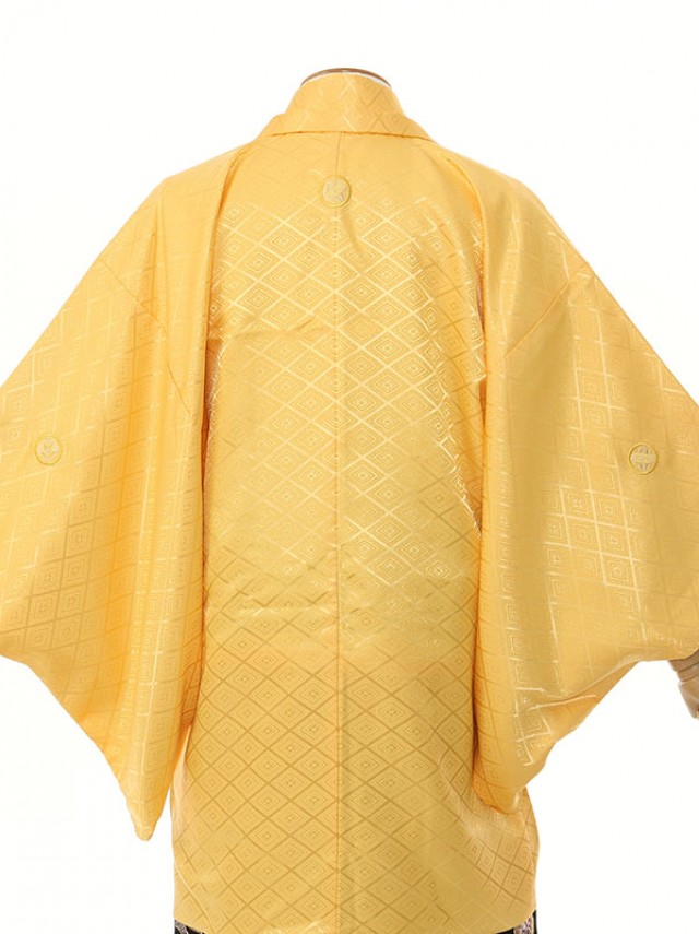 男性用袴|E-SV02-5-2|5号黄紋付/竜袴