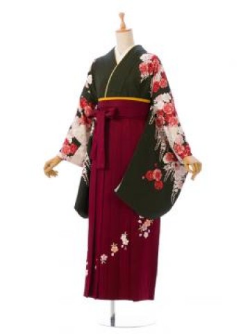 NICOLE|袴レンタル|158～162cm|卒業式袴フルセット(グリーン系)|卒業袴(普通サイズ)