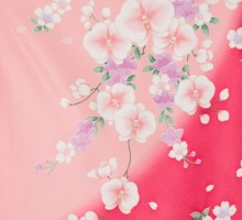 蘭と桜文様柄の卒業式袴フルセット(ピンク系)|卒業袴(普通サイズ)