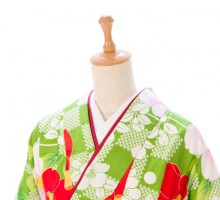 鹿の子市松に椿柄の卒業式袴フルセット(黄緑系)|卒業袴(普通サイズ)3枚目