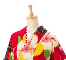 中村里砂 椿に縞柄の卒業式袴フルセット(白/赤系)|卒業袴(普通サイズ)5枚目