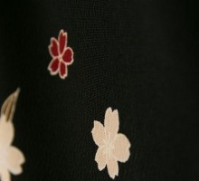 先生|黒地　小桜柄の卒業式袴フルセット(ブラック系)|卒業袴(普通サイズ)