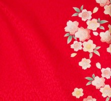 卒業式|桜文様柄の卒業式袴フルセット(赤系)|卒業袴(普通サイズ)
