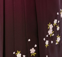 卒業袴|先生|花紋|桜柄の卒業式袴フルセット(グリーン系)|卒業袴(普通サイズ)
