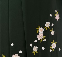 レンタル袴|レトロ|麻の葉|椿柄の卒業式袴フルセット(赤系)|卒業袴(普通サイズ)5枚目