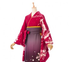 レンタル袴|赤着物|桜吹雪柄の卒業式袴フルセット(赤系)|卒業袴(普通サイズ)