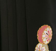 レンタル袴|紅一点|ハイクラス袴セット|卒業式袴フルセット(グリーン系)|卒業袴(普通サイズ)