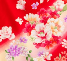 卒園袴|赤地クリームぼかし 八重桜 卒園式袴レンタルフルセット|女の子(卒園式袴)