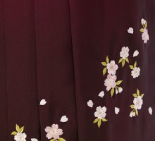 レンタル袴 卒業式 黒地に桜柄の卒業式袴フルセット(ブラック系)|卒業袴(普通サイズ)