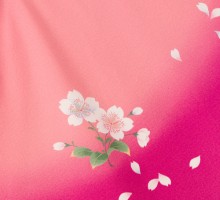 先生|158～163㎝|レンタル袴|卒業式袴フルセット(ピンク系)|卒業袴(普通サイズ)
