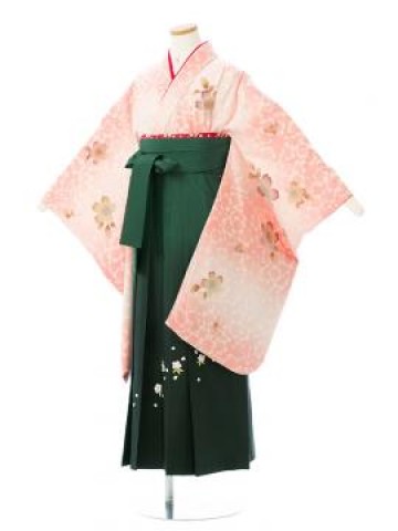 袴 小学生 148～153cm サーモンピンク 卒業袴フルセット(ピンク系)|女の子(小学生袴)