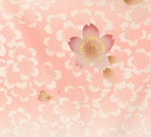 袴 小学生 143～148cm|サーモンピンク 卒業袴フルセット(ピンク系)|女の子(小学生袴)2