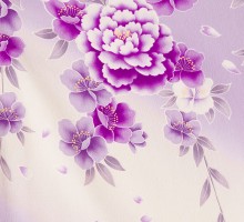 ワイドサイズ|紫ぼかし牡丹としだれ桜柄の卒業式袴フルセット(紫系)|卒業袴(大きいサイズ)(ワイド)