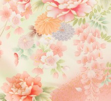 着物レンタル|JAPAN STYLE|牡丹桜菊|訪問着フルセット(ピンク系)|訪問着・付下げ