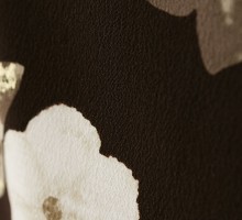 玉城ティナ|卒業袴|158〜162cm|卒業式袴フルセット(茶色系)|卒業袴(普通サイズ)1