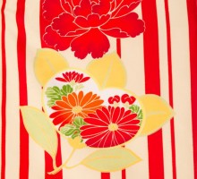 レンタル袴|赤縞に牡丹橘菊柄の卒業式袴フルセット(白系)|卒業袴(普通サイズ)2