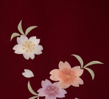 きもの道楽ブランド乙女椿柄の卒業式袴フルセット(クリーム系)|卒業袴(普通サイズ)　