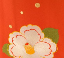 卒業式|白に茶色ぼかし薔薇柄の卒業式袴フルセット(白系)|卒業袴(普通サイズ)