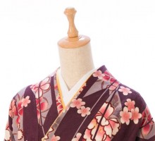 矢絣に桜菊柄の卒業式袴フルセット(茶系)|卒業袴(普通サイズ)