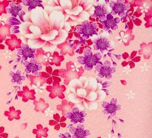卒業式|ピンク　桜柄の卒業式袴フルセット(ピンク系)|卒業袴(普通サイズ)
