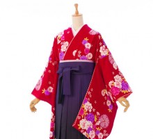 卒業袴|158〜163cm|桜文様柄の卒業式袴フルセット(赤系)|卒業袴(普通サイズ)