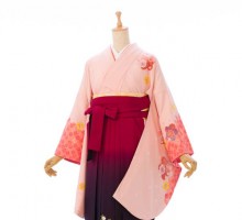 ピンク地　桜柄の卒業式袴フルセット(ピンク系)|卒業袴(普通サイズ)